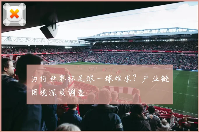 为何世界杯足球一球难求?产业链困境深度调查