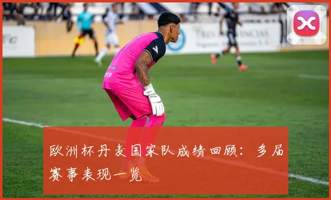 欧洲杯丹麦国家队成绩回顾:多届赛事表现一览