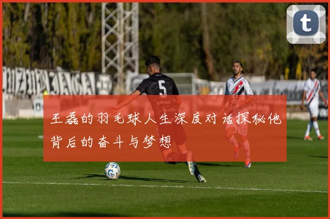 王磊的羽毛球人生深度对话探秘他背后的奋斗与梦想