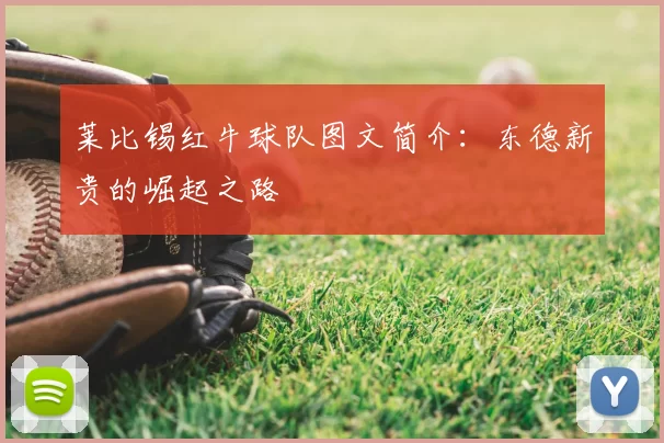 莱比锡红牛球队图文简介：东德新贵的崛起之路