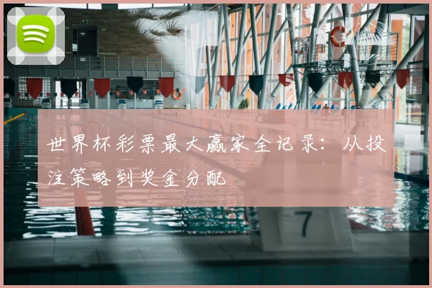 世界杯彩票最大赢家全记录：从投注策略到奖金分配