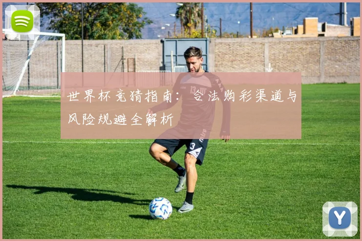 世界杯竞猜指南：合法购彩渠道与风险规避全解析