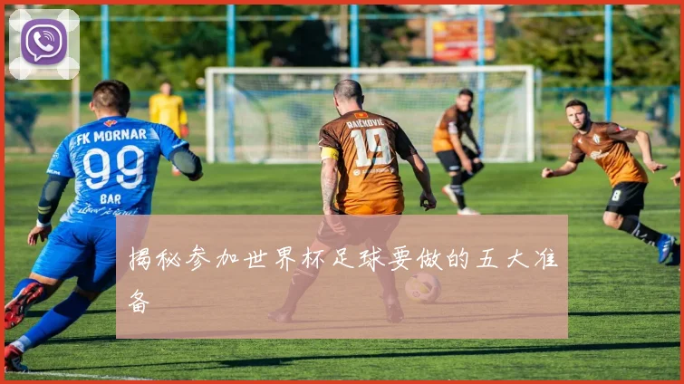 揭秘参加世界杯足球要做的五大准备