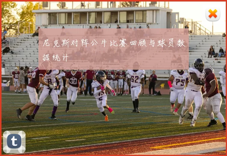 尼克斯对阵公牛比赛回顾与球员数据统计