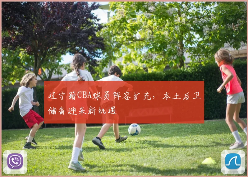 辽宁籍CBA球员阵容扩充，本土后卫储备迎来新机遇