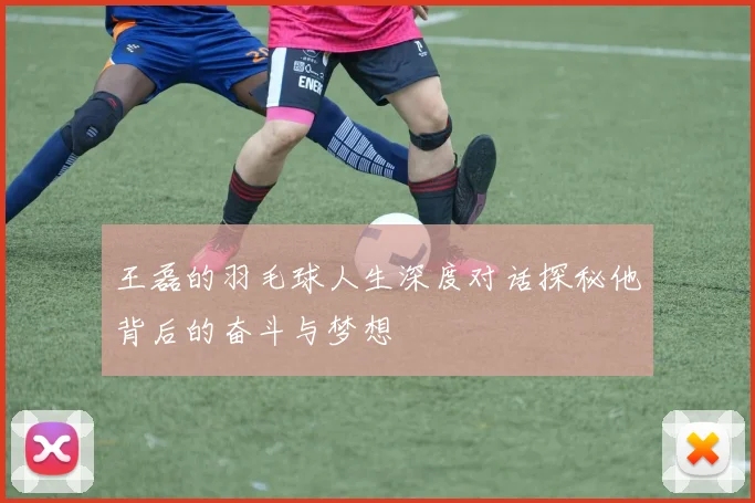 王磊的羽毛球人生深度对话探秘他背后的奋斗与梦想