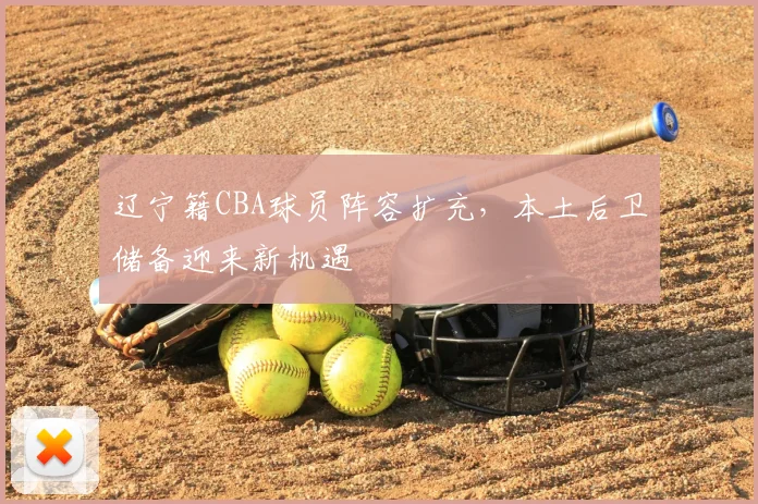 辽宁籍CBA球员阵容扩充，本土后卫储备迎来新机遇
