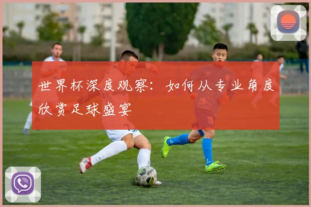 世界杯深度观察：如何从专业角度欣赏足球盛宴