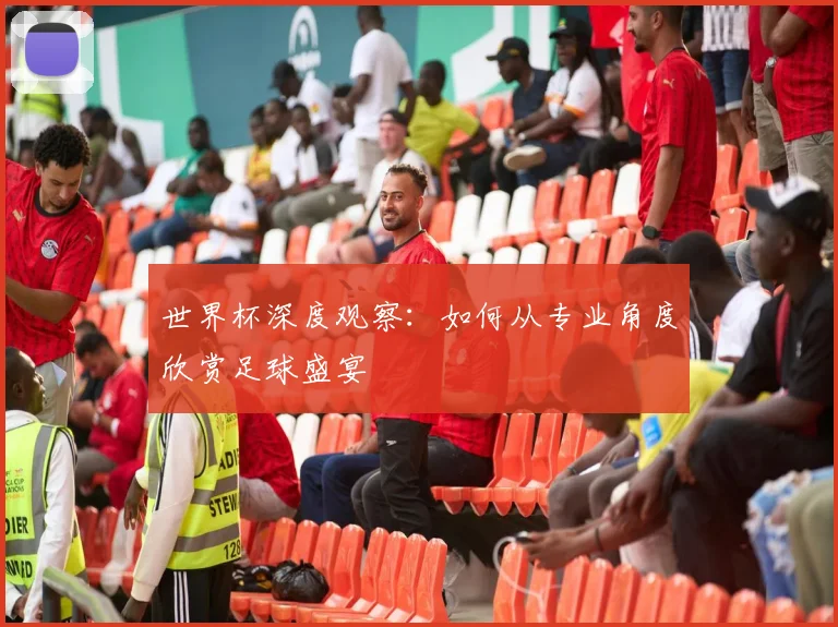世界杯深度观察：如何从专业角度欣赏足球盛宴