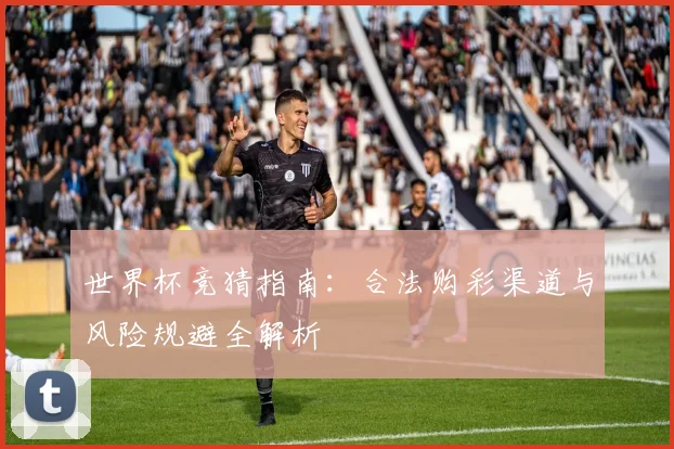 世界杯竞猜指南：合法购彩渠道与风险规避全解析