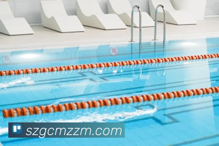 华体会手机网页版发展历程