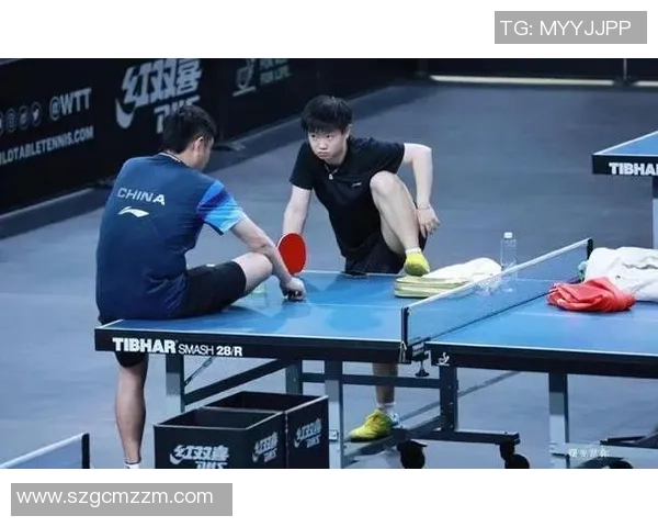 重庆乒乓球队速度之美探索与训练背后的故事与成就