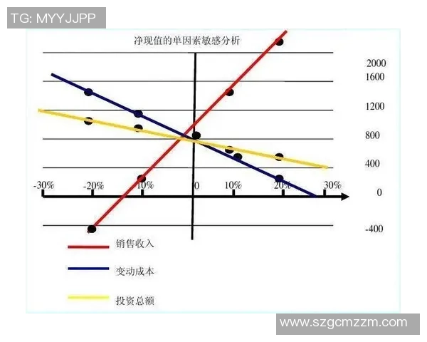 广州网球队选拔赛表现分析与状态评估全面解读