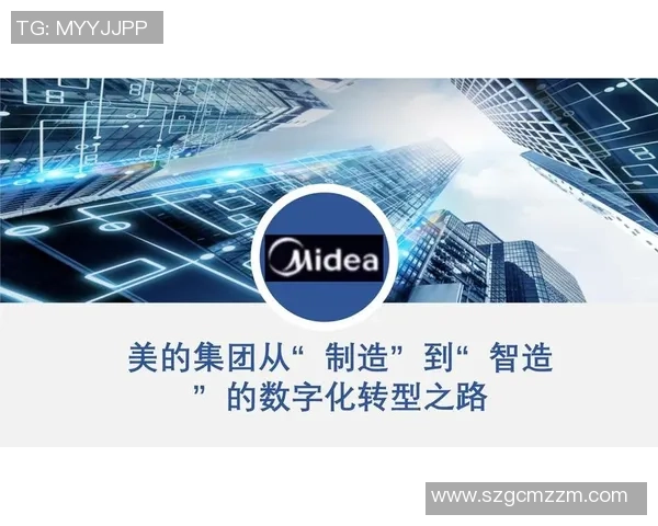 南京网球队的转型之路：得失与挑战并存的深度分析